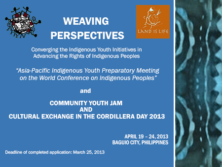 Calling for Indigenous Youth Participation! HELP US SPREAD THE NEWS!