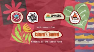 Panagsupyat: Young Indigenous Peoples Guide to Combating Destructive Mining!